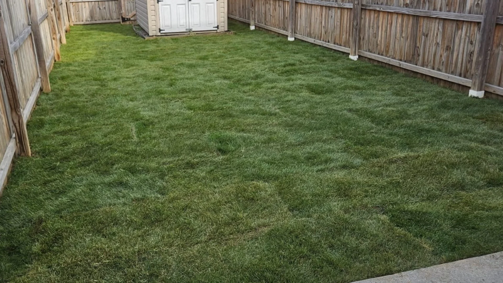 Should You Do Anything in Preparation for Sod Installation?