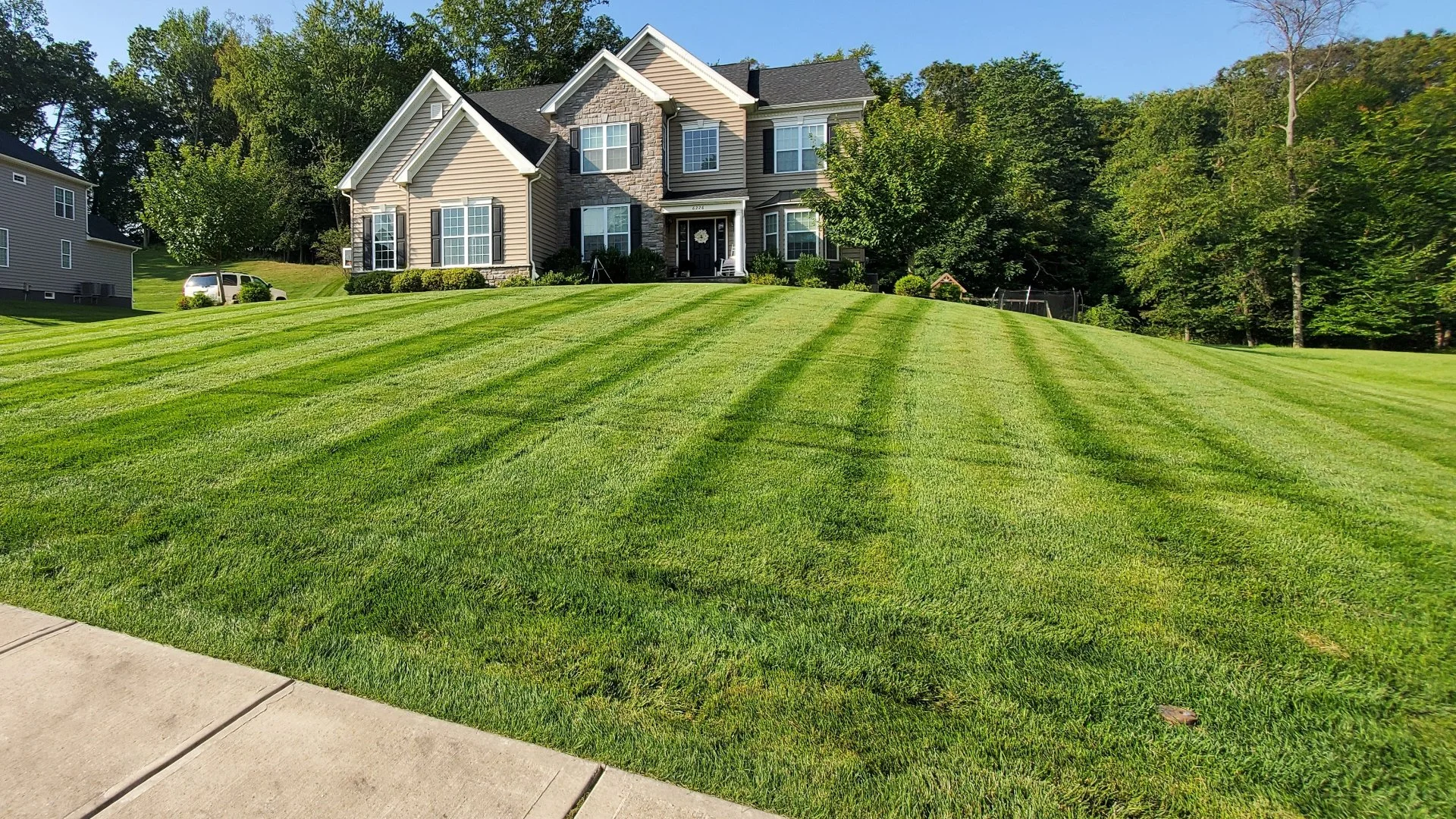 How to Care For Your Lawn After Overseeding