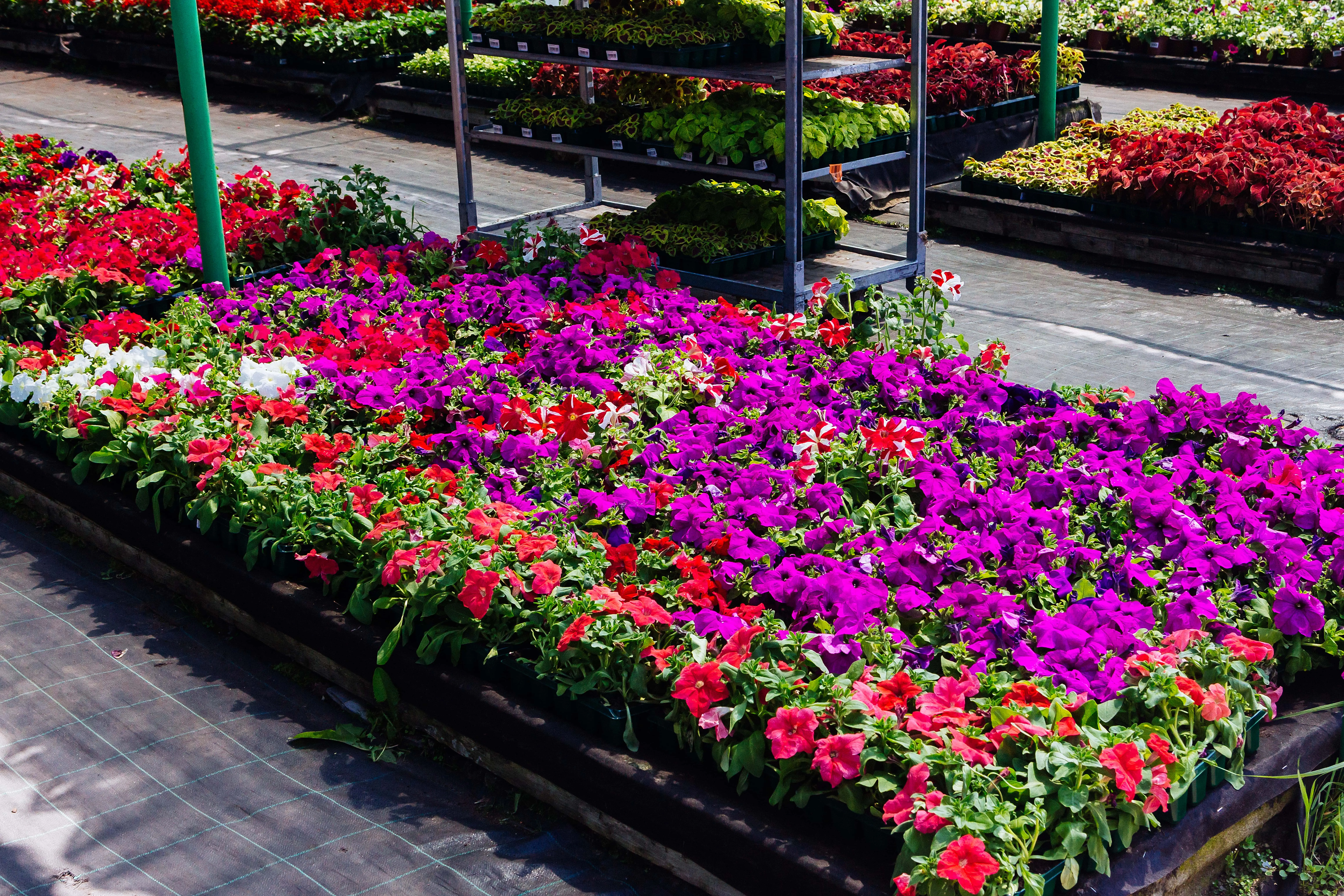 Commercial snow removal services and work truck in Emmaus, PA.