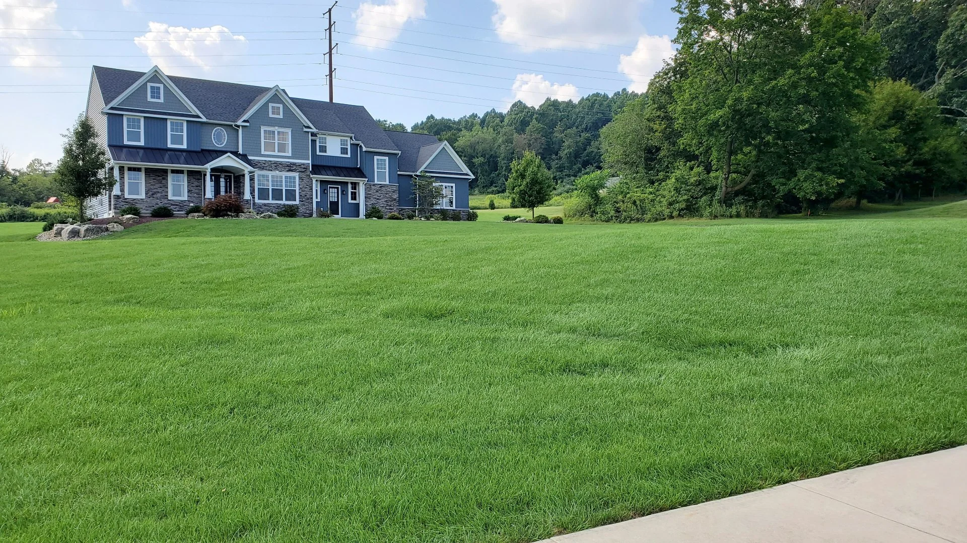 Fertilizing Before vs After Rainfall - Which Is Best?