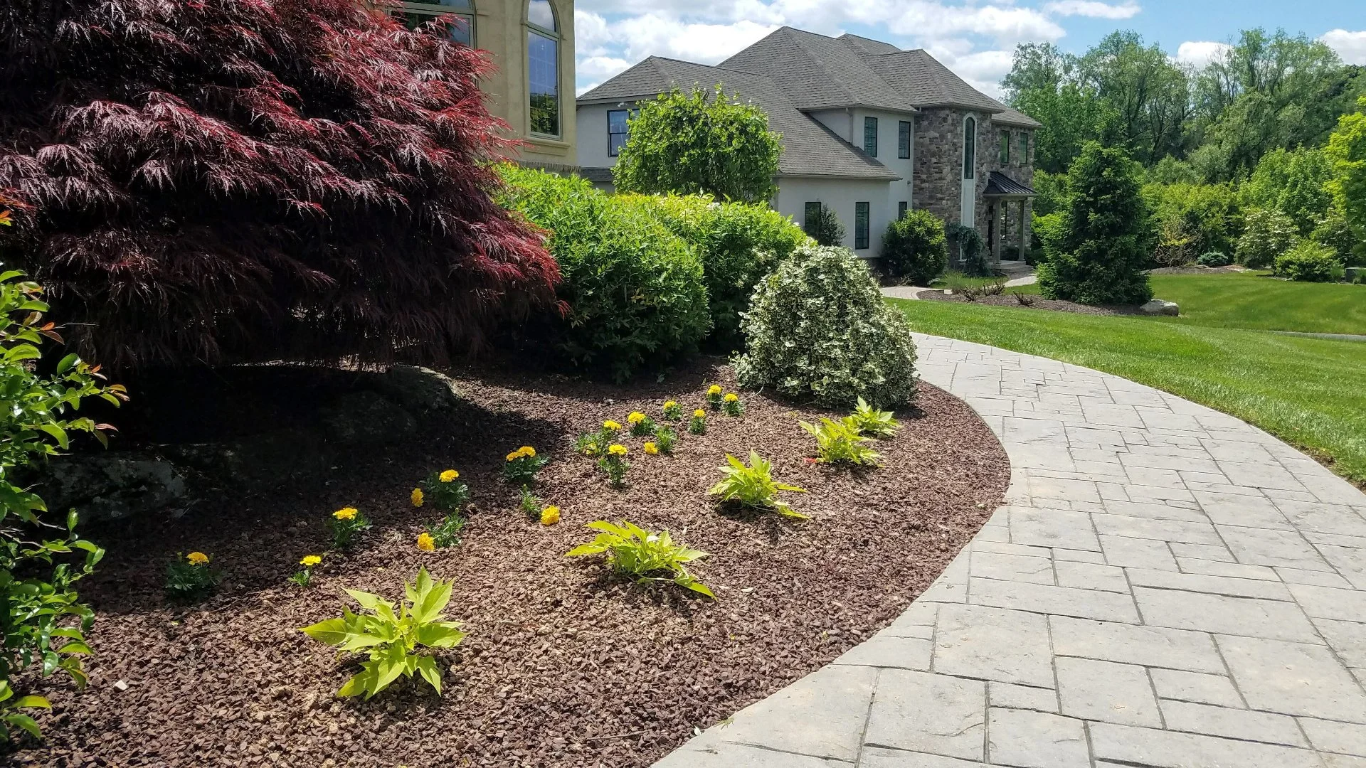 Does Mulch Suppress Weed Growth in Landscape Beds?