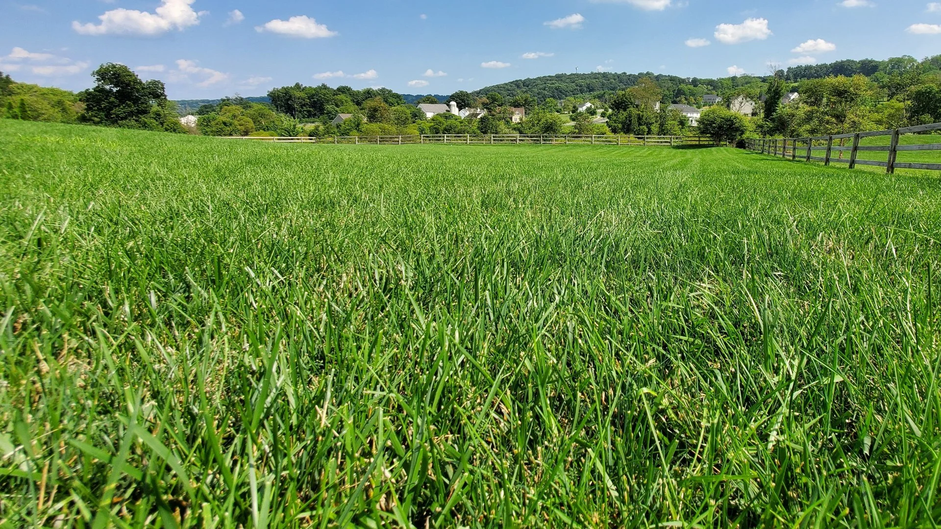 How Can You Tell if Your Lawn Needs a Fertilizer Treatment?