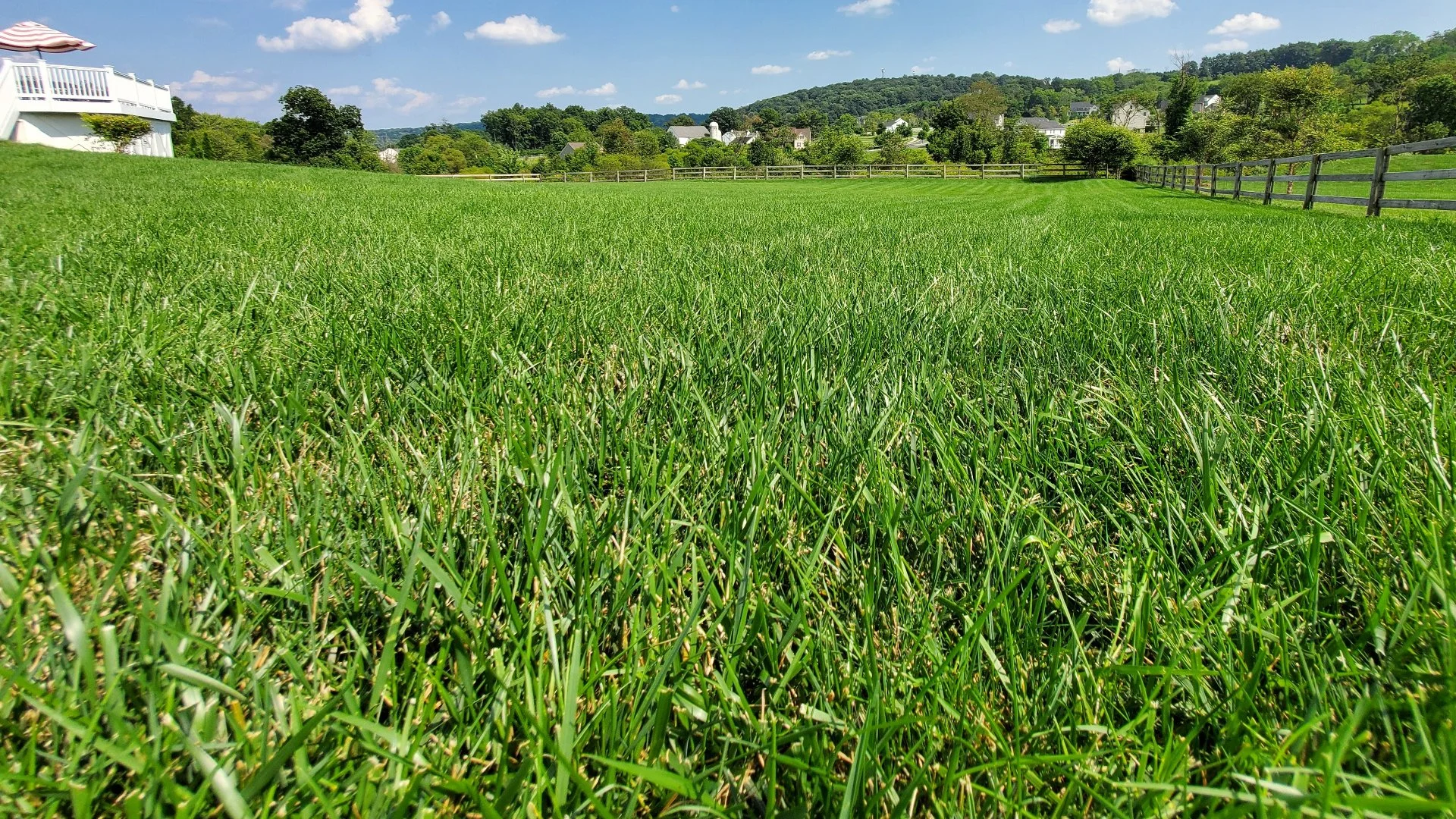 3 Signs of Soil Compaction on Your Lawn