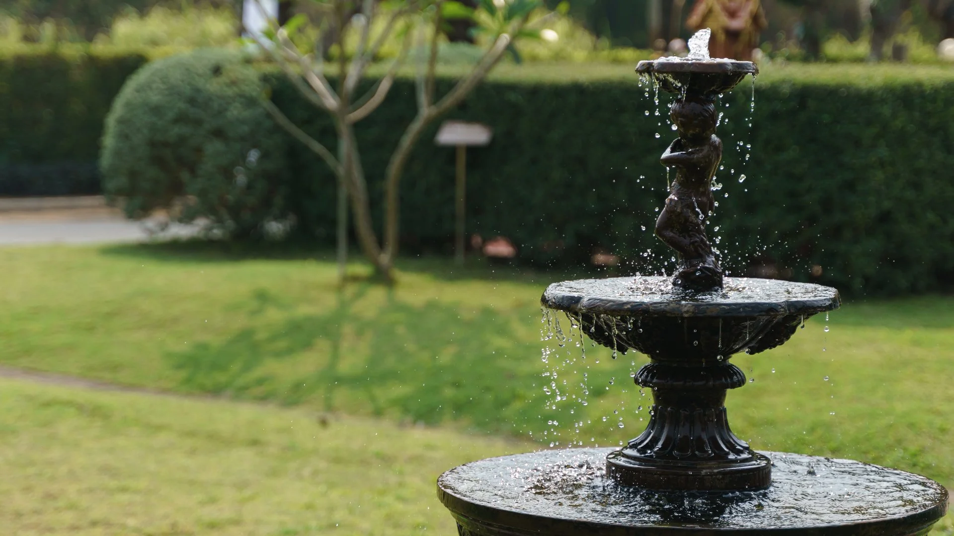5 Beautiful Water Features That Can Enhance the Beauty of Your Property