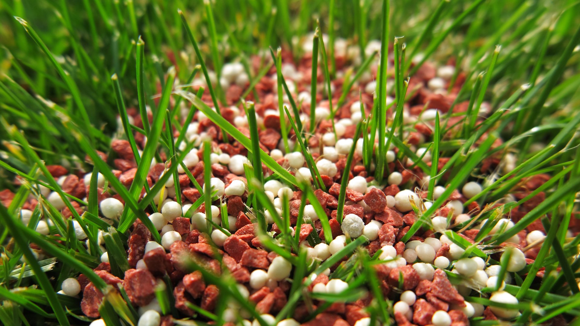 What Nutrients Are in Lawn Fertilizers & How Do They Help Your Grass