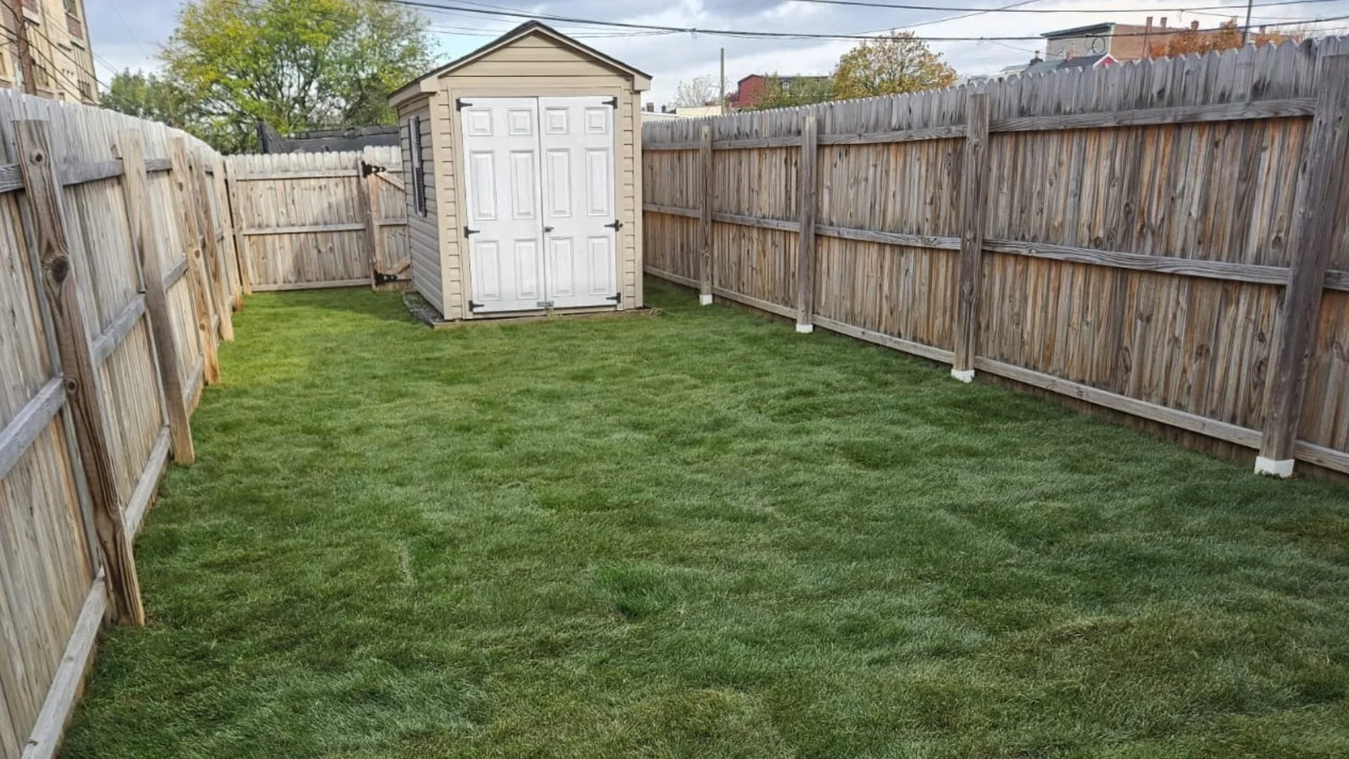How Often Should You Be Watering Your Newly Installed Sod?