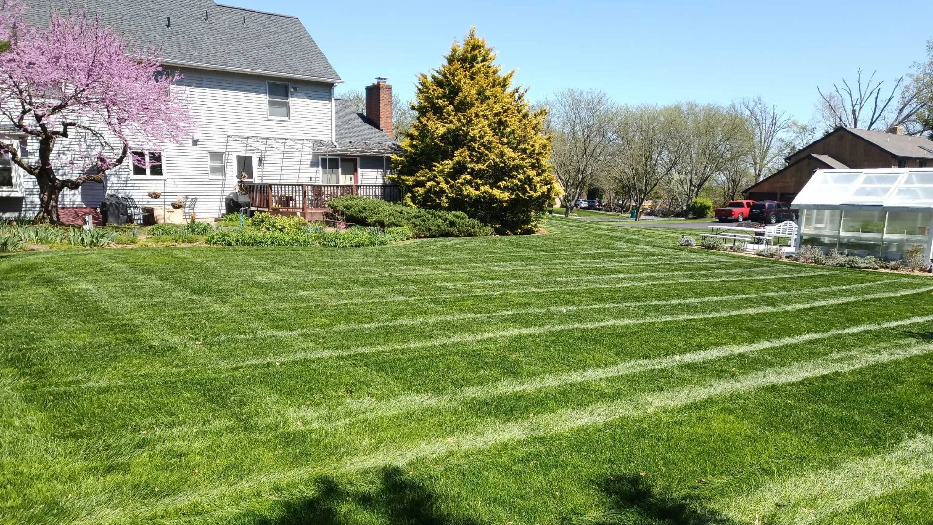 Lawn Recovery Project in Allentown, PA
