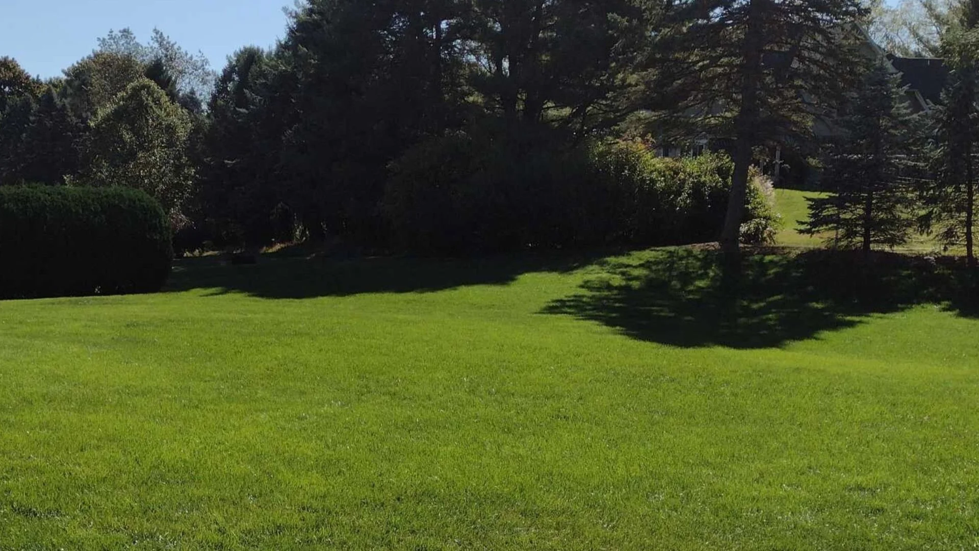 Can You Apply Liquid Aeration Treatments to Your Lawn Yourself?