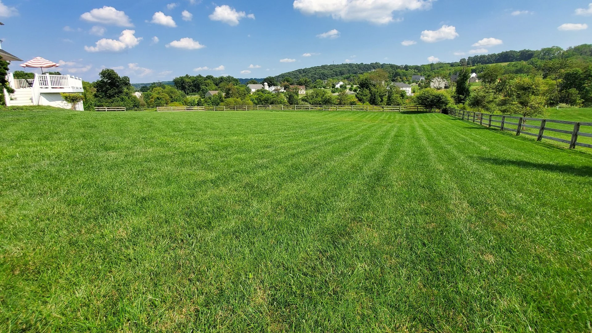 Do You Have to Treat Lawn Diseases or Can They Go Away on Their Own?