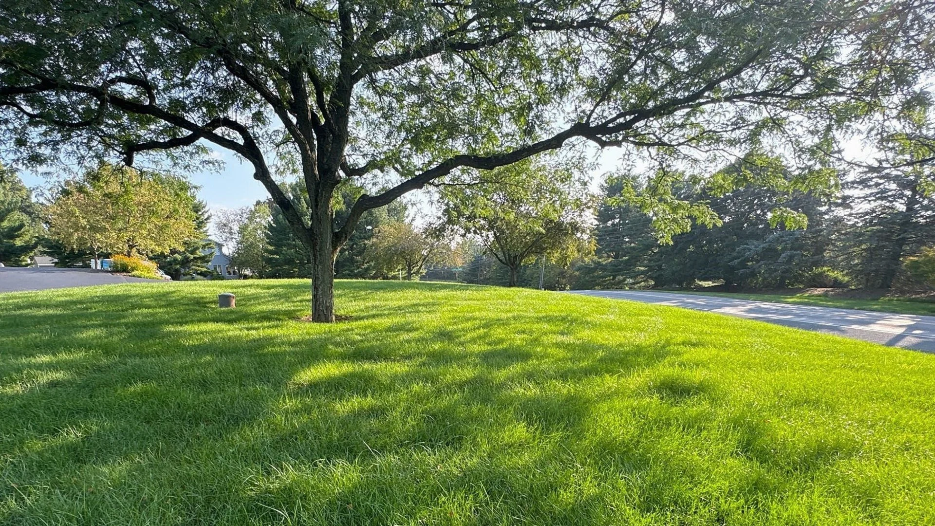 Are There Situations Where You Shouldn't Fertilize Your Lawn?