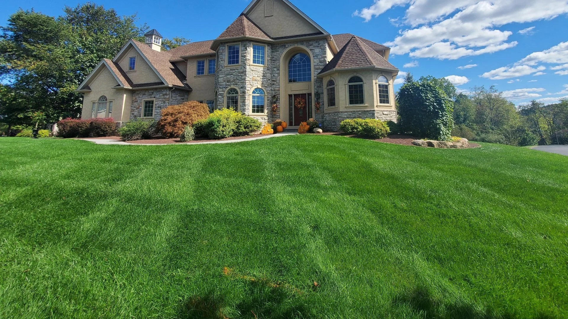 Pre-Emergent Weed Control: What Is It & When Should It Be Applied?