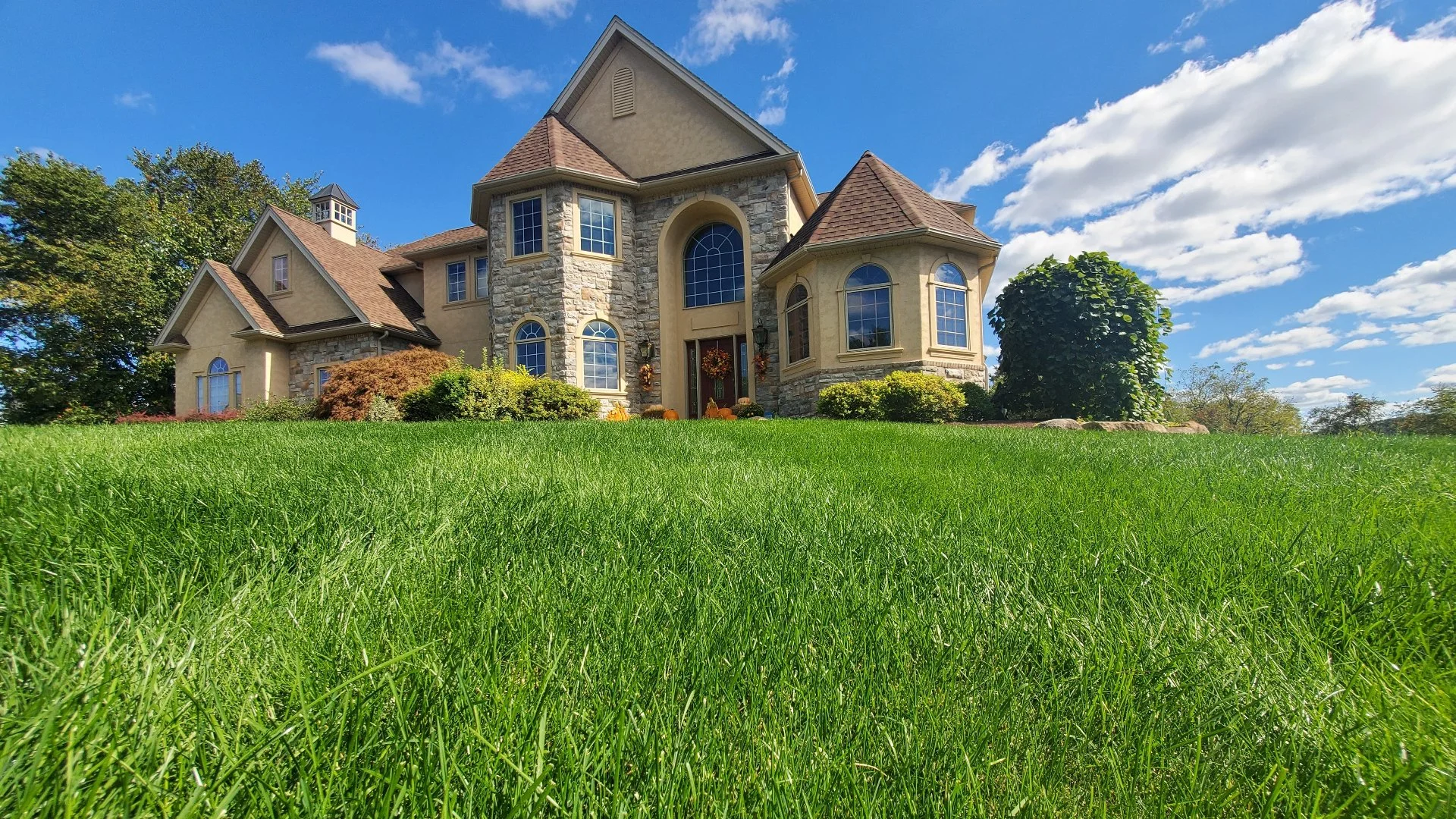 Long-Term Lawn Care & Maintenance in Coopersburg, PA