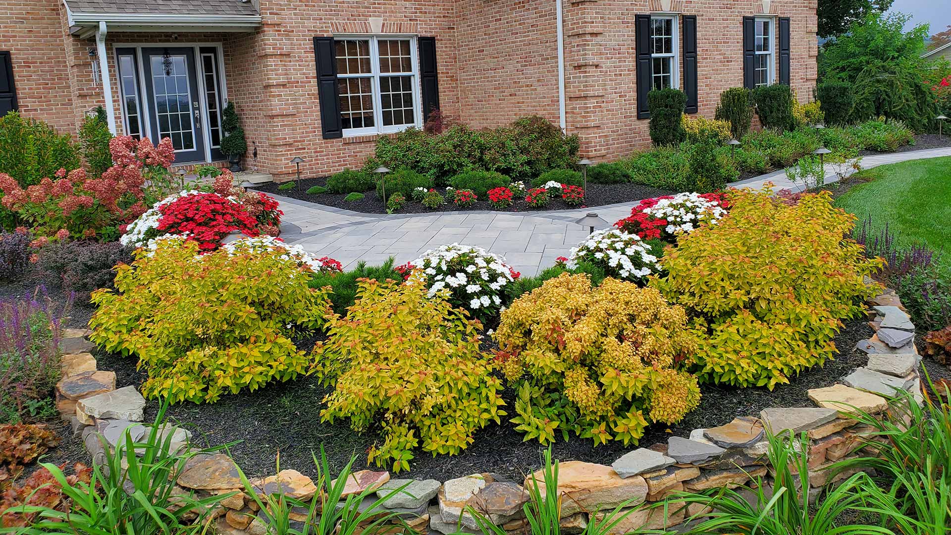 Landscape installation around a walkway at a home in Emmaus, PA.