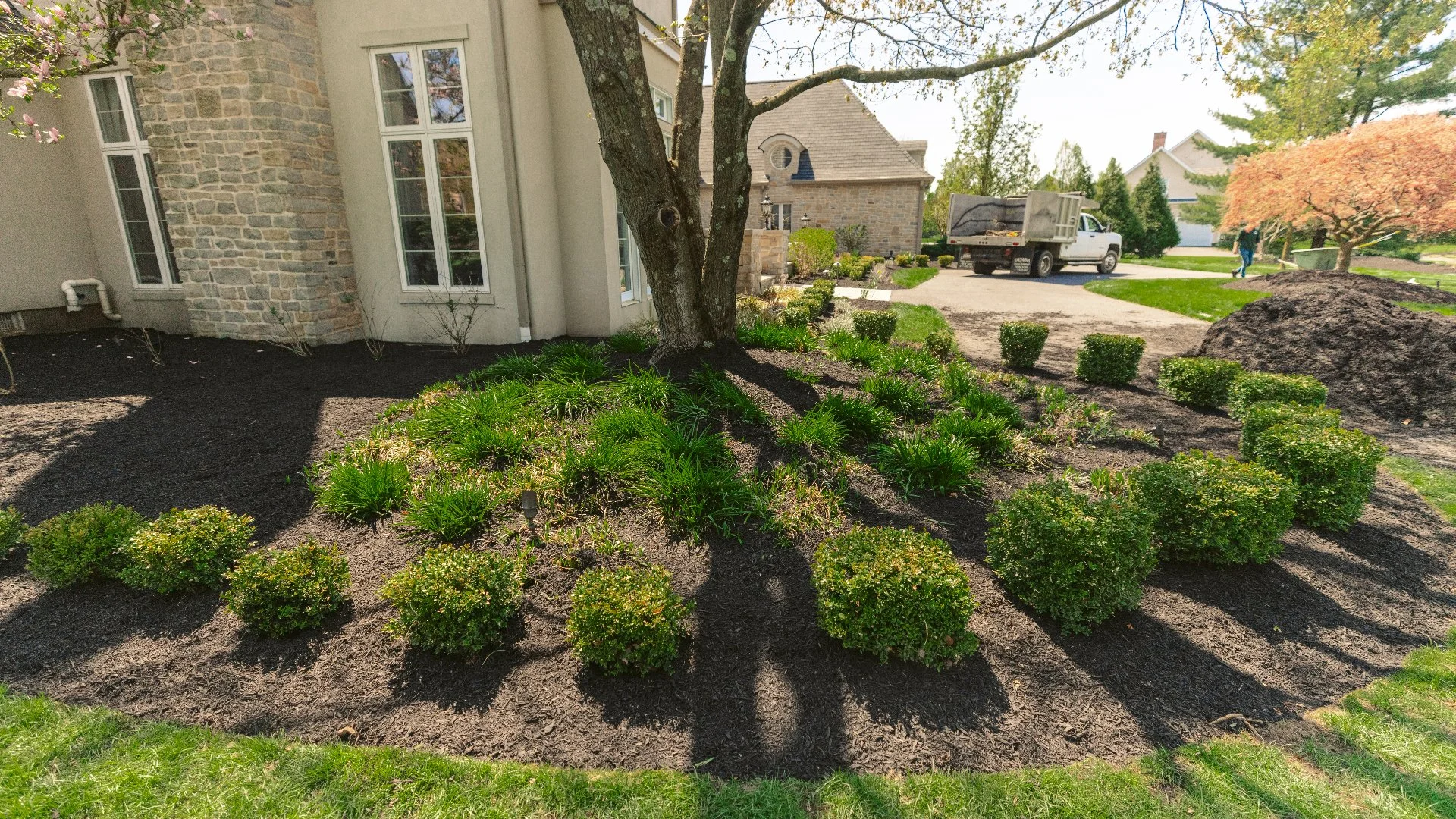 Landscape Ground Cover Debate: Mulch vs Rock