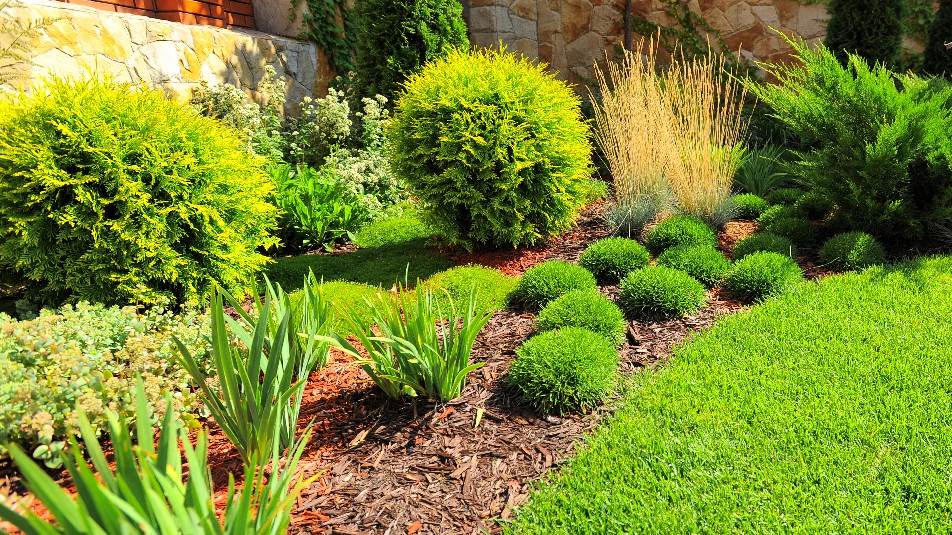 Things You’ll Want to Consider When Choosing Plants for Your Landscape Beds