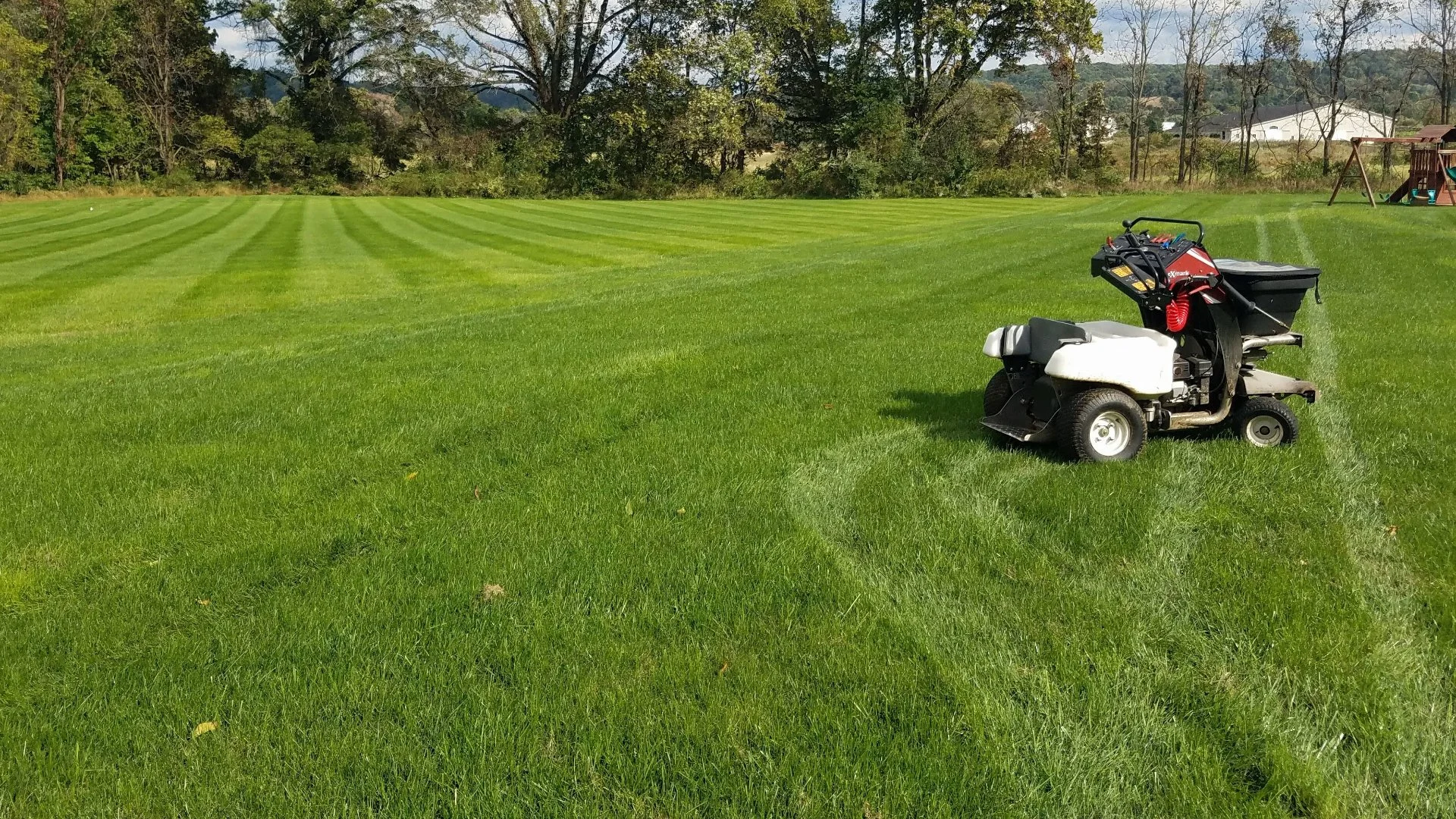 Is It Necessary to Water in Fertilizer Treatments?