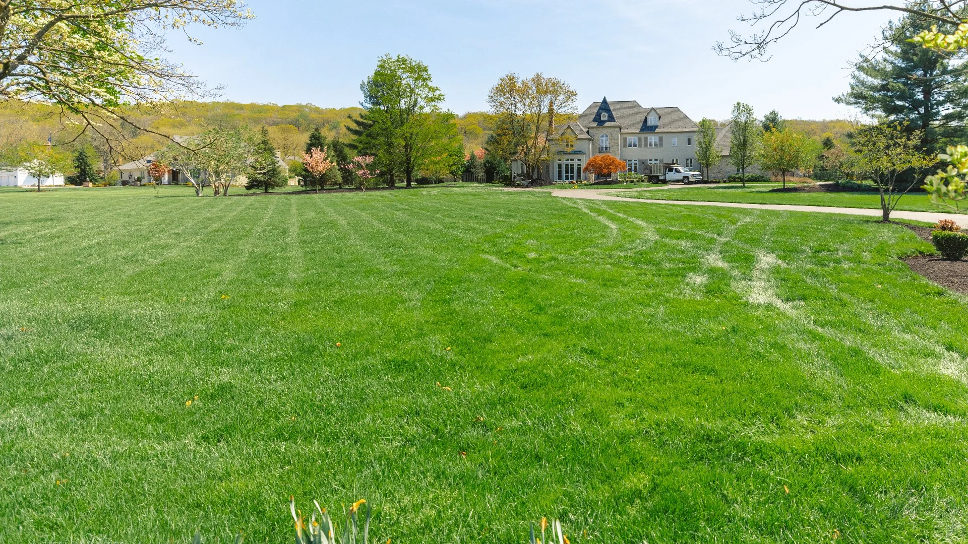 How Long After Liquid Aeration Will You Start to See Results?