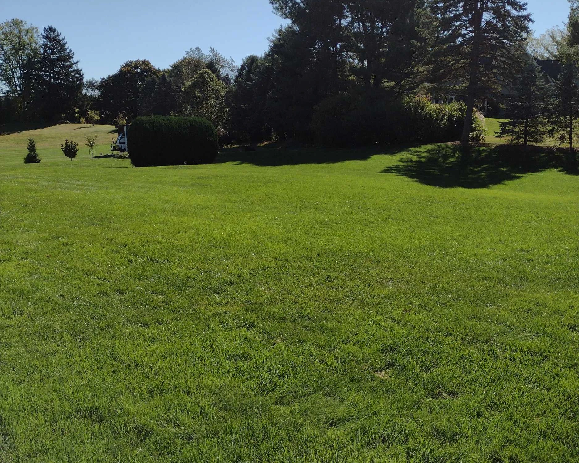 Vibrant green lawn in Macungie, PA.