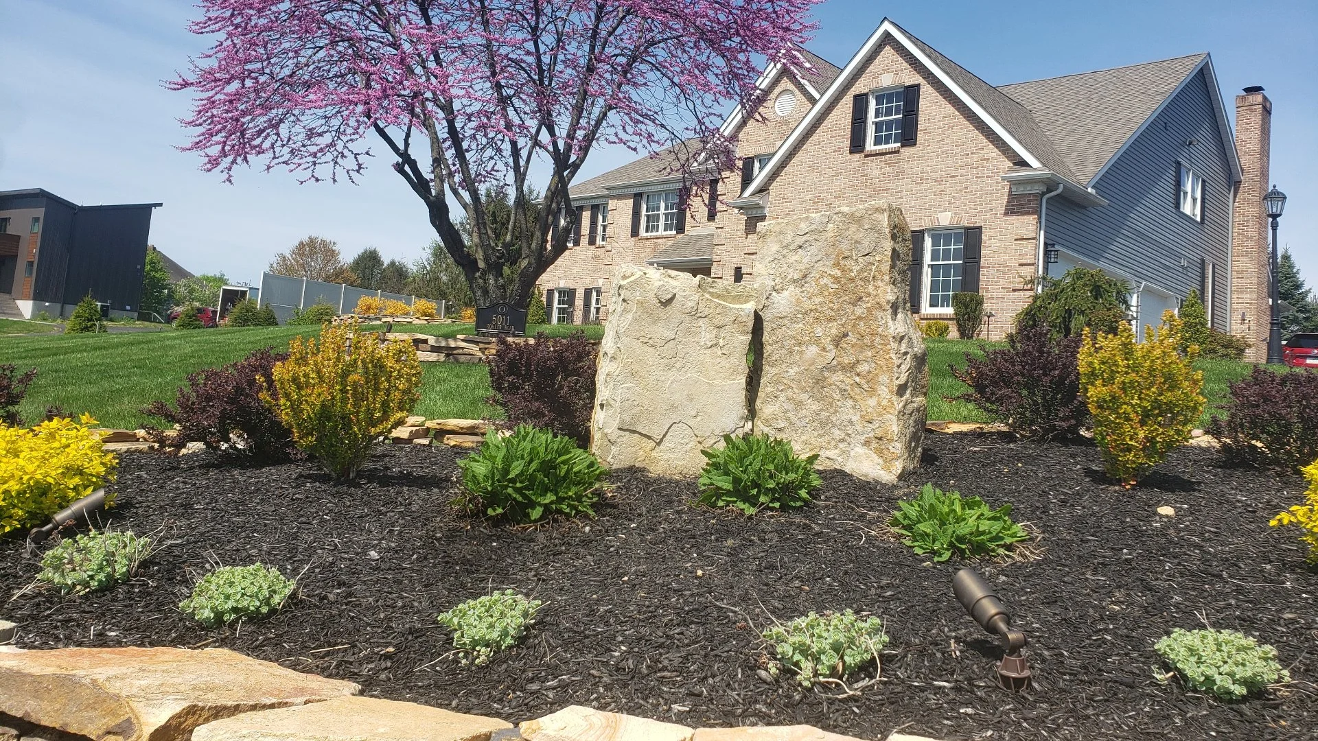 Should You Only Add Native Plants to Your Landscape?