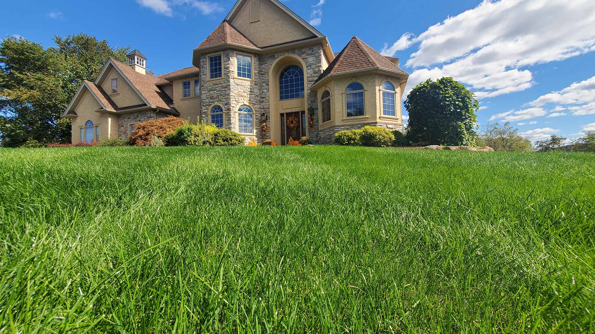 Home front with healthy lawn and landscape near Emmaus, PA.