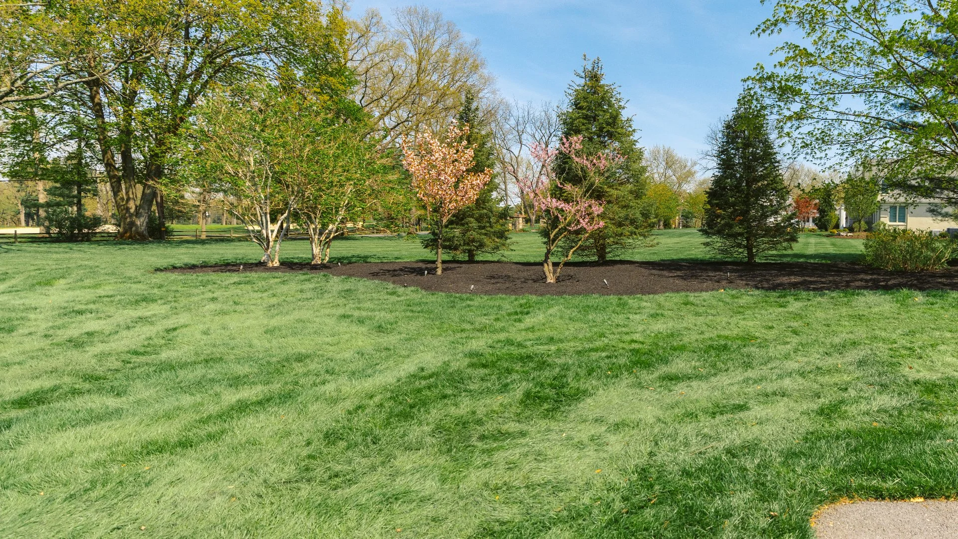 Will a Liquid Aeration Treatment Help Reduce the Thatch Layer on Your Lawn?