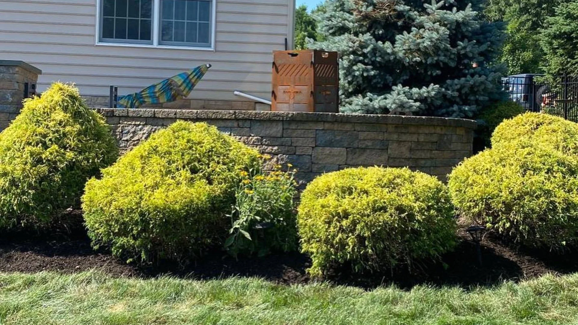 Is It Possible to Prune Plants Incorrectly?
