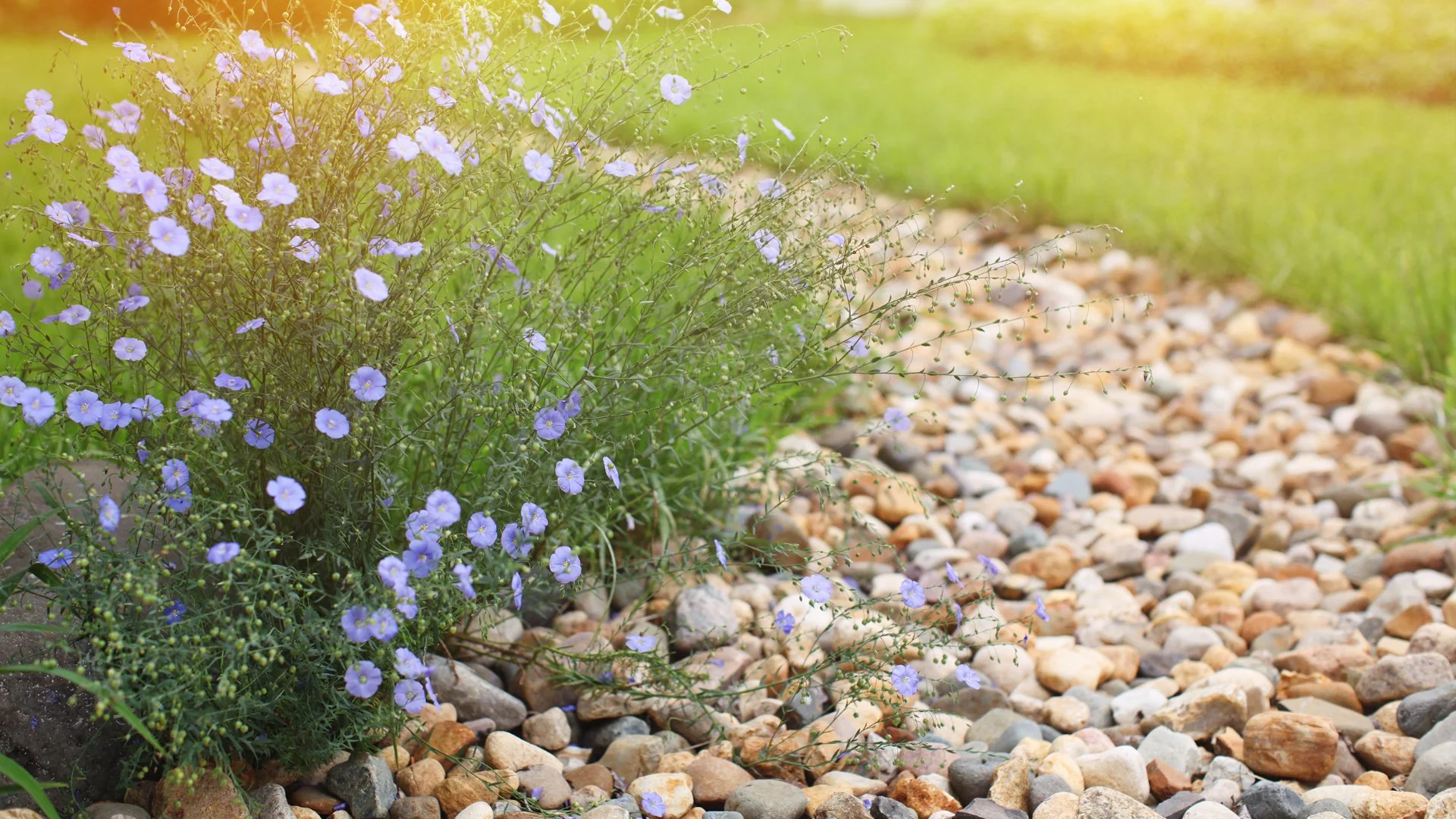 Are French Drains an Effective Drainage Solution?
