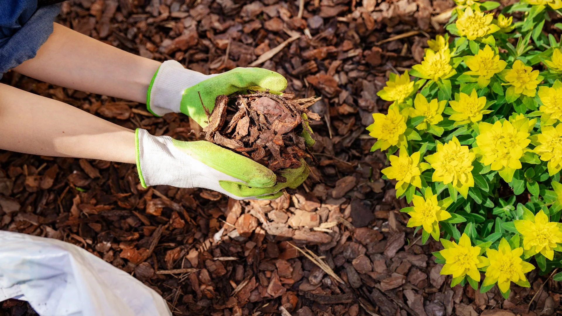 Do You Really Need to Refresh the Mulch in Your Landscape Beds Every Year?