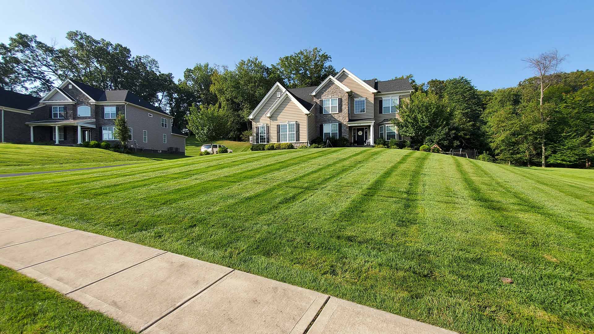 Recently mowed home lawn outside Macungie, PA.