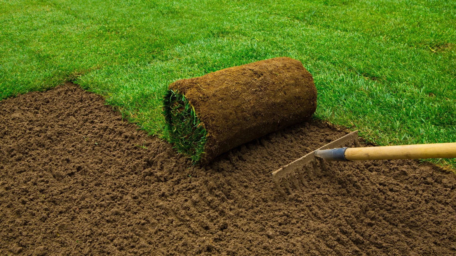 What Impacts the Cost of Sod Installation?