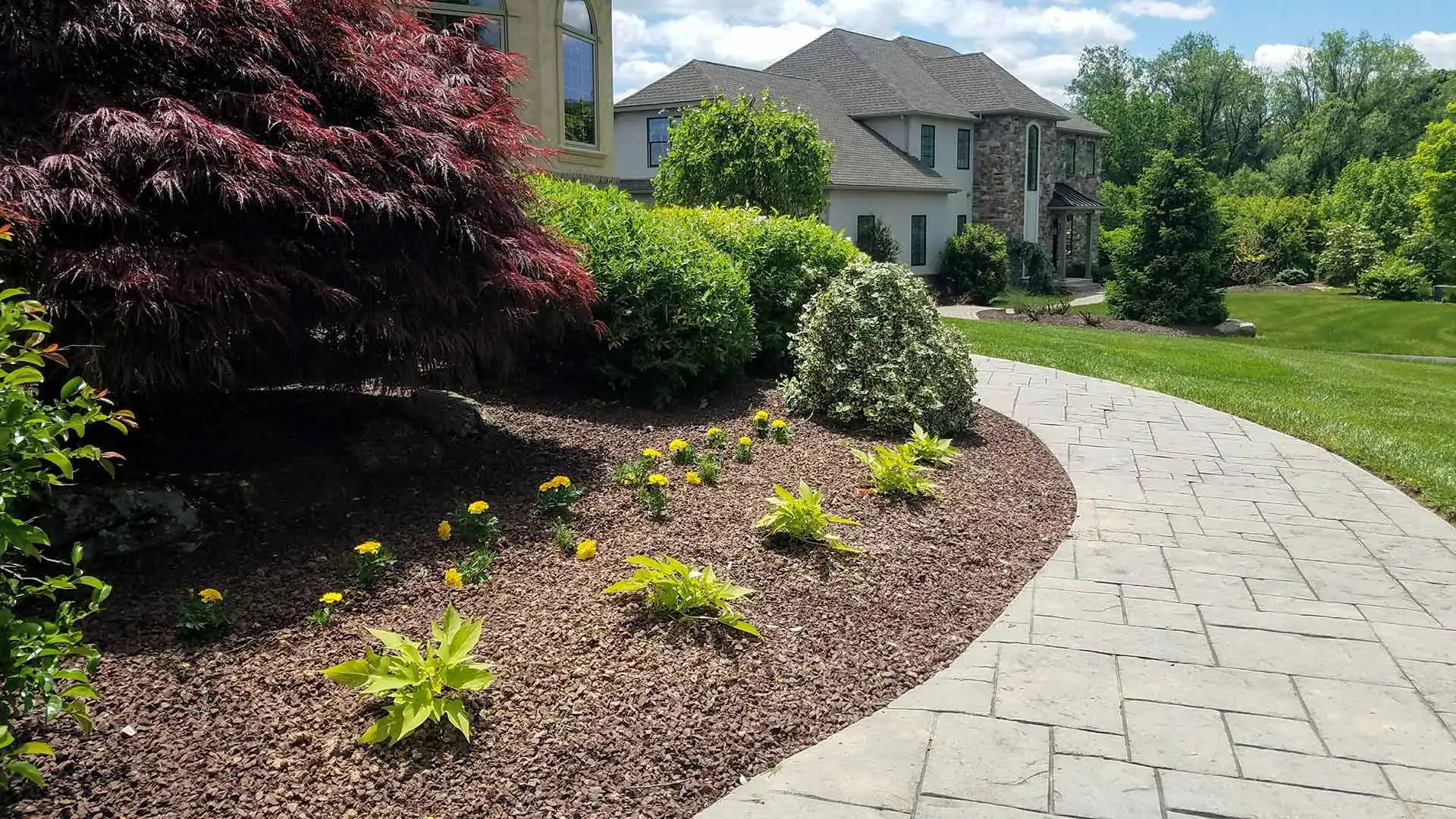 Beautiful softscape installation and custom walkway in East Greenville, PA.