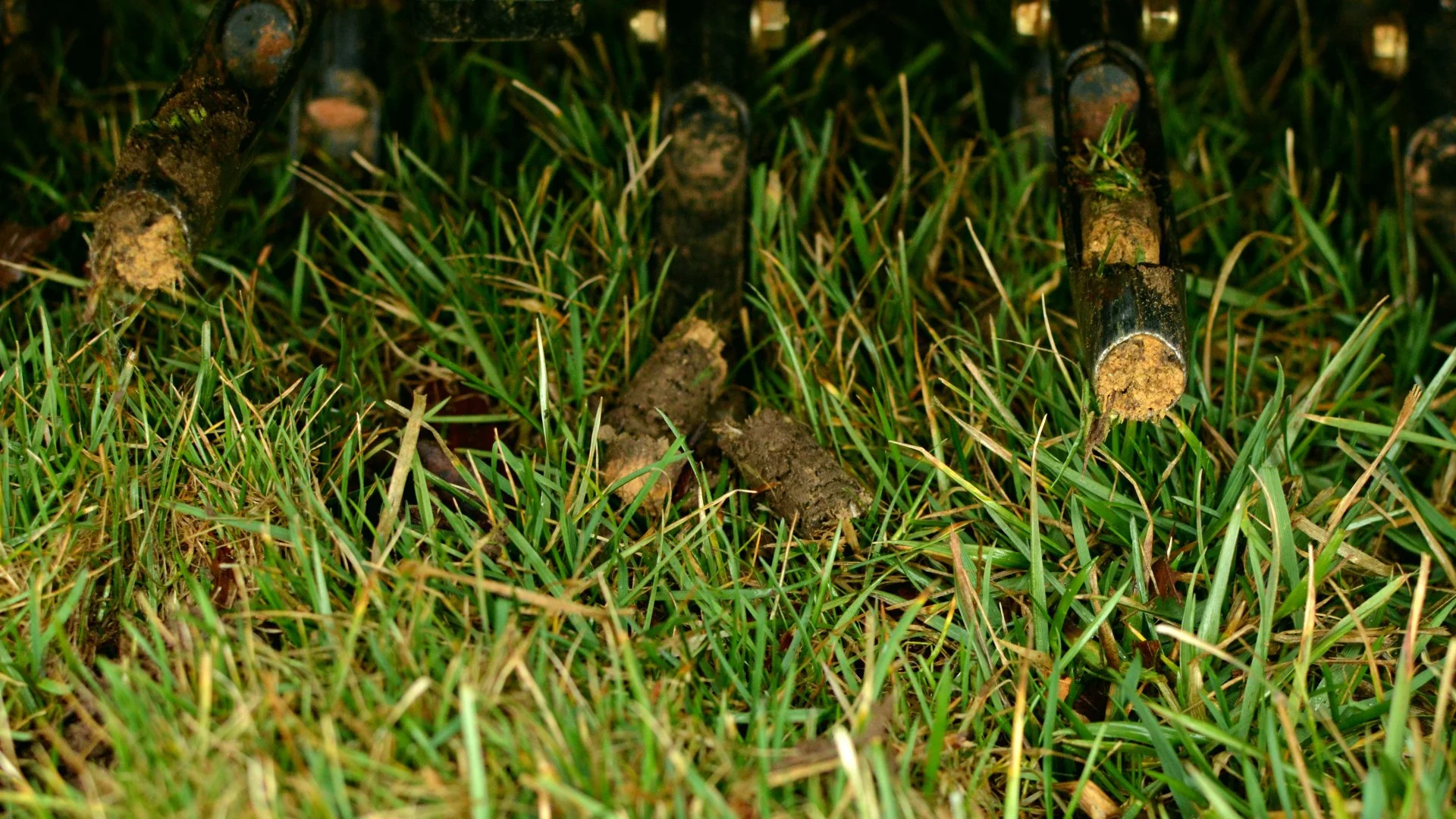 Should I Have My Lawn Aerated Every Year or Can I Skip It?