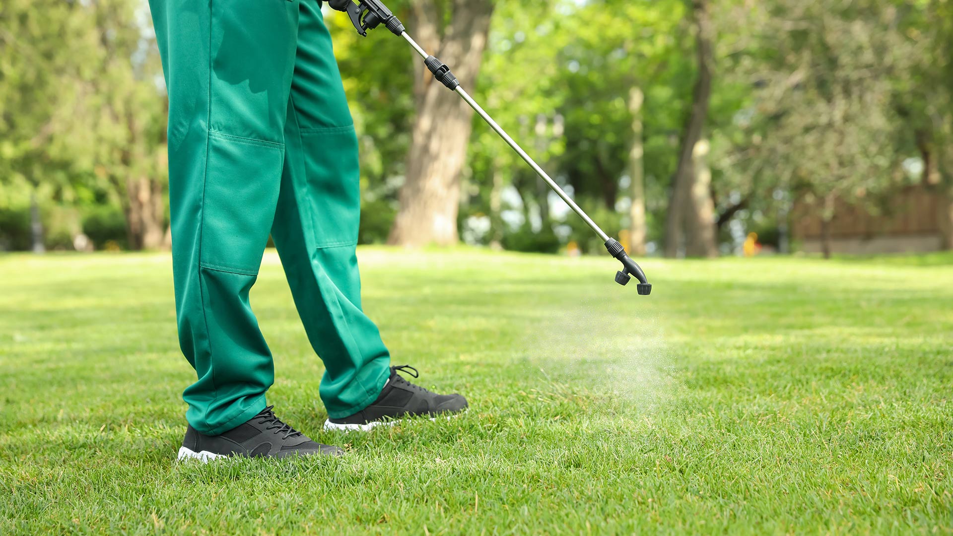 Do You Need to Use Both Pre- & Post-Emergent Weed Control Treatments?