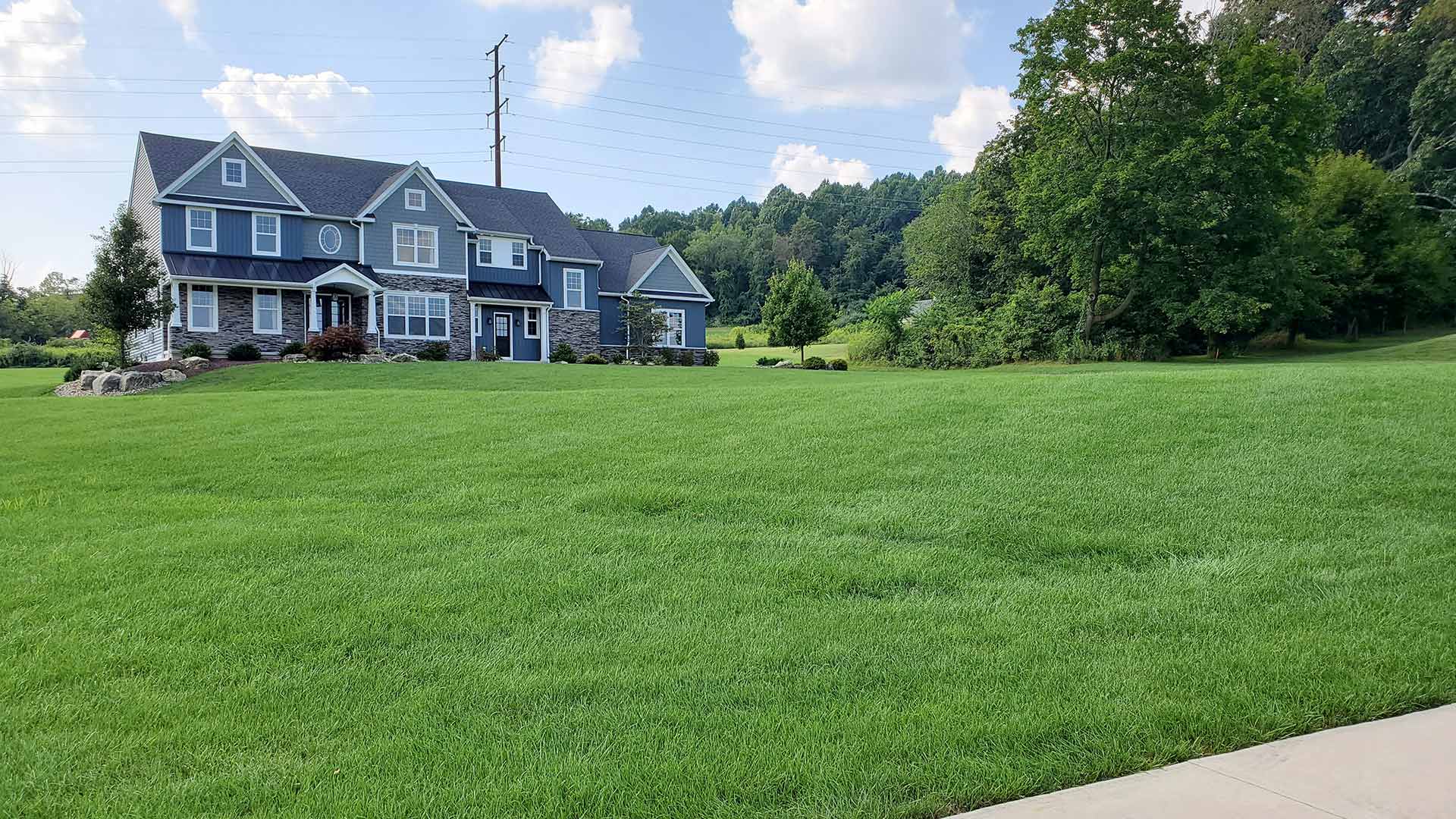 Thick, green lawn grass at a home in Macungie, PA.