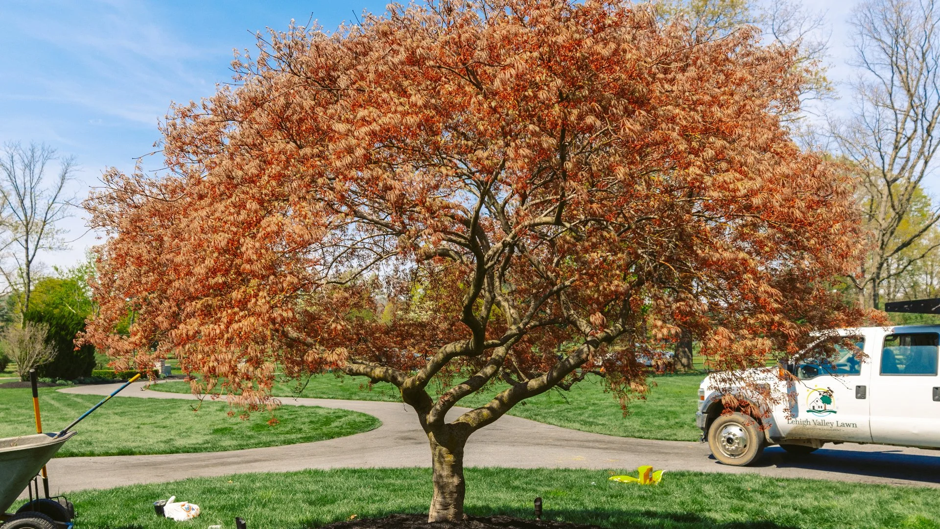 How Often Should You Be Trimming & Pruning Your Plants?