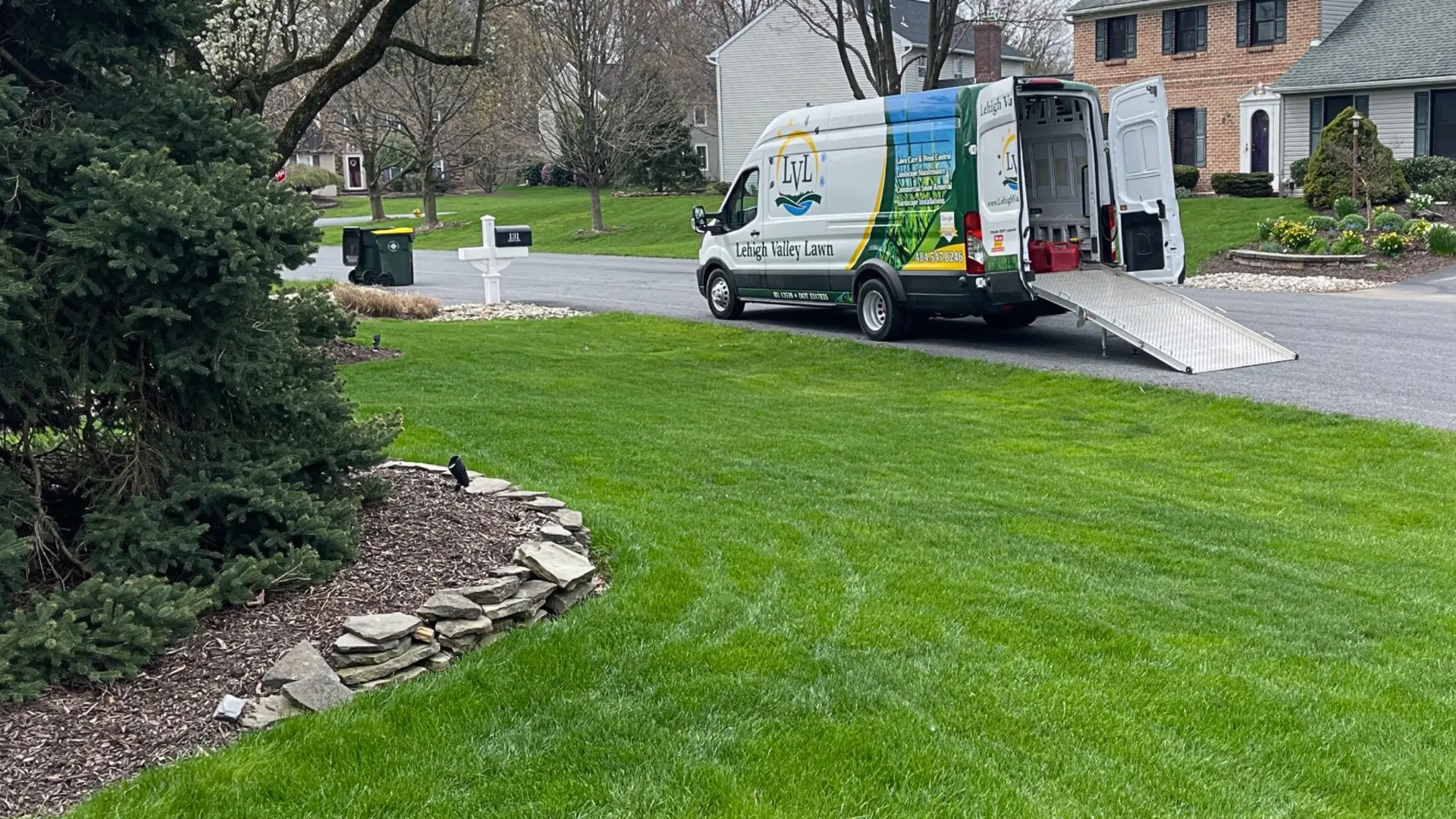 Should You Kill The Weeds On Your Lawn Before Overseeding It?
