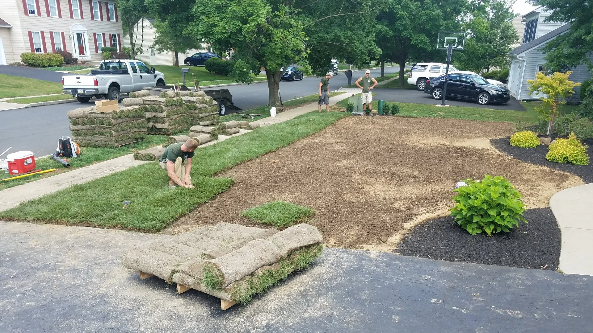 When Can You Expect Newly Installed Sod to Take Root?