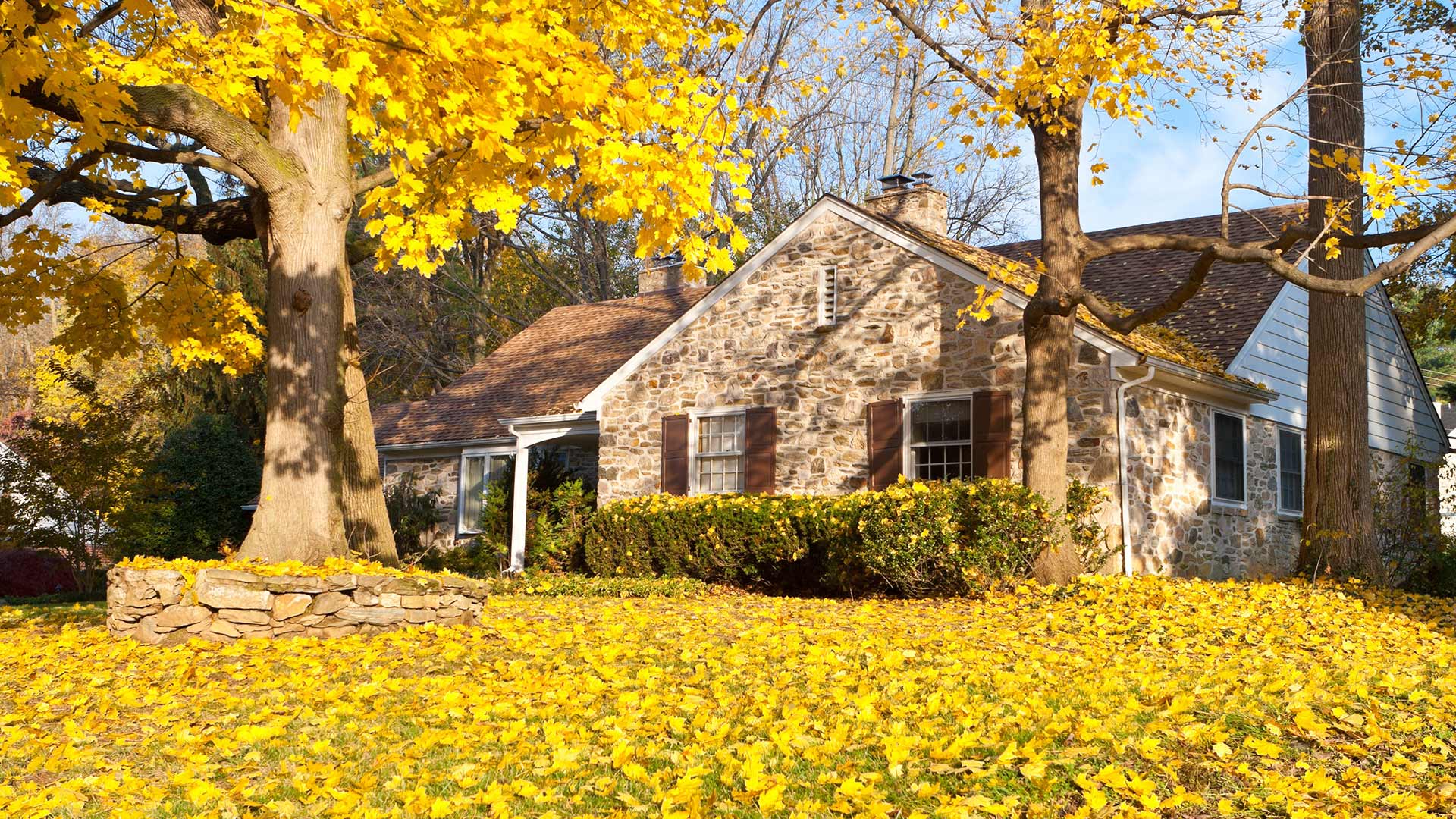 3 Services Your Lawn NEEDS This Fall