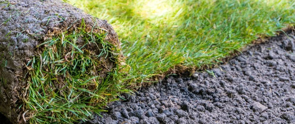 Close up of sod installation in Macungie, PA.