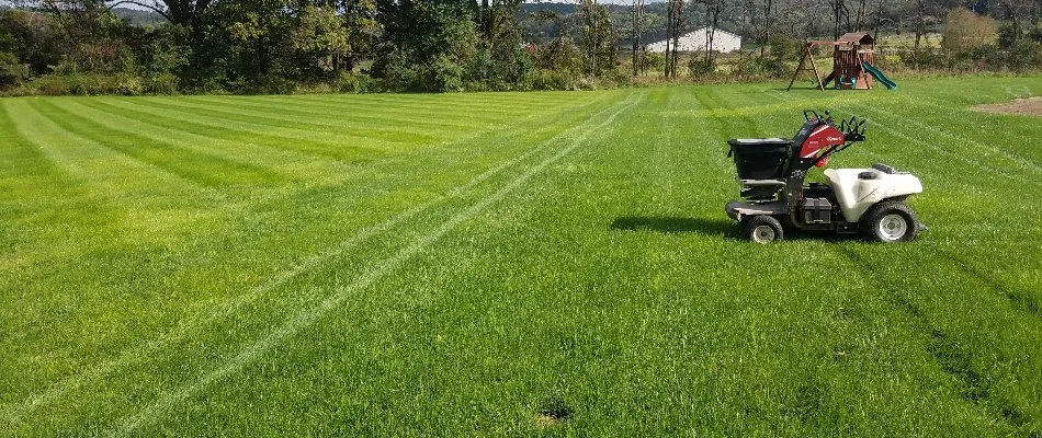 Granular spreader equipment on a lush backyard lawn in Macungie, PA.