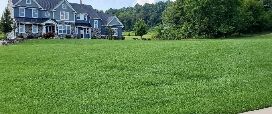 House in Pennsylvania behind a dense, green lawn.