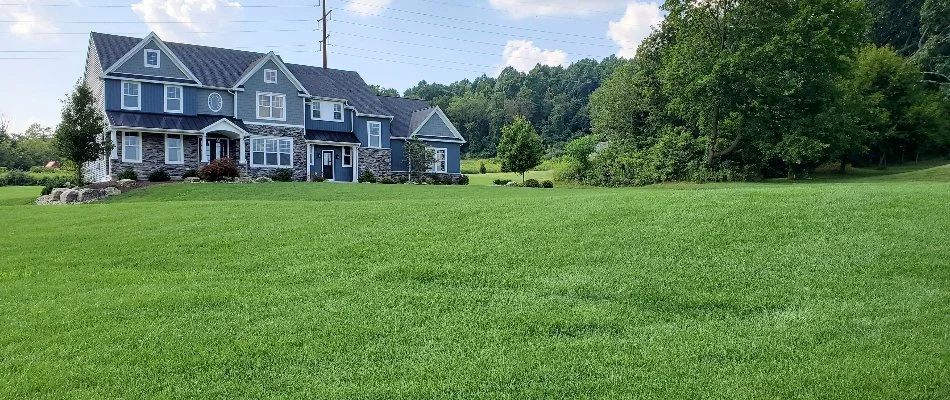 House with weed-free lawn in Macungie, PA.