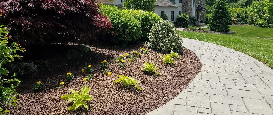 Landscape bed along a walkway in Macungie, PA.
