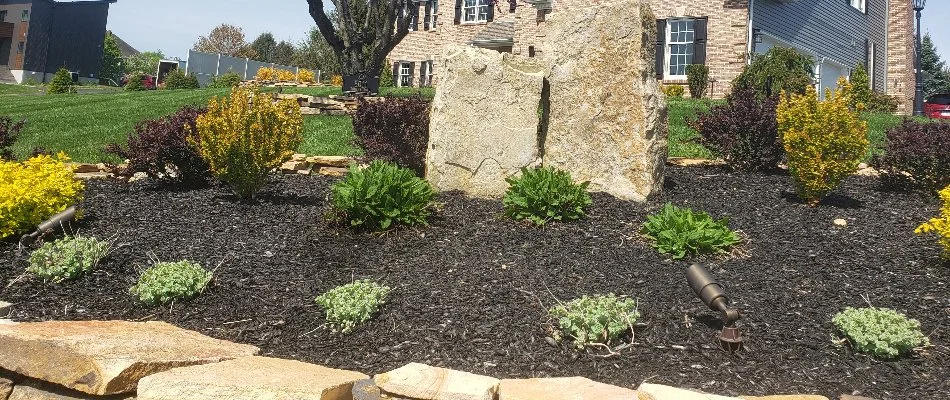 Landscape bed in Macungie, PA, with a boulder, plants, and mulch.