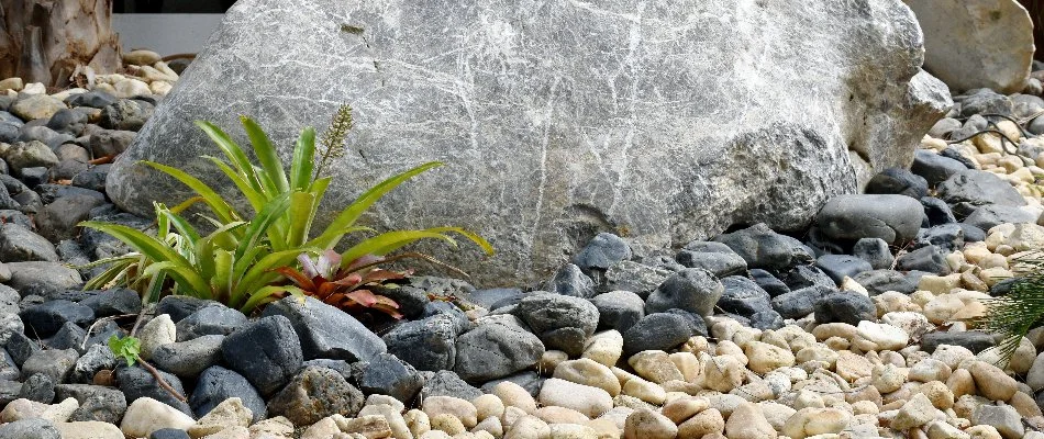 Landscape bed in Macungie, PA, with rock ground cover.