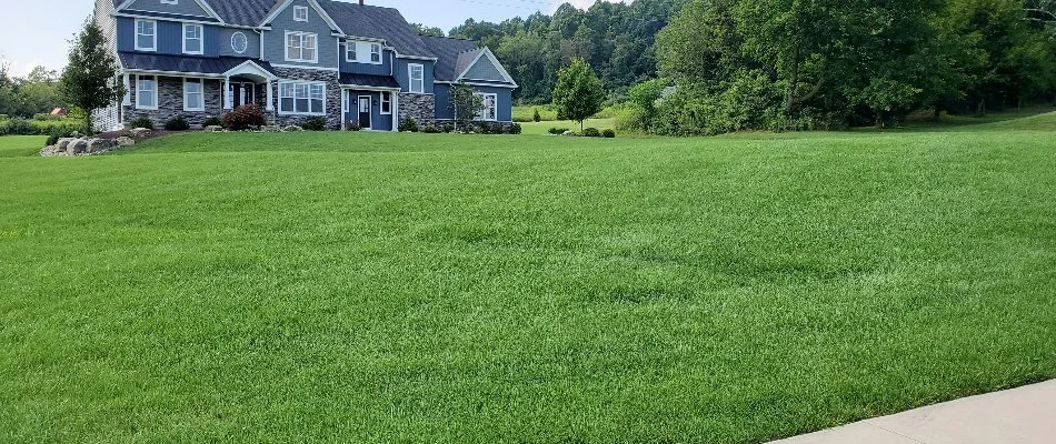 Large, green lawn and a blue house in Macungie, PA.