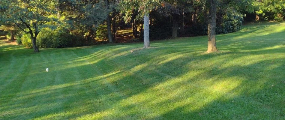 Lush green lawn with trees in Macungie, PA.