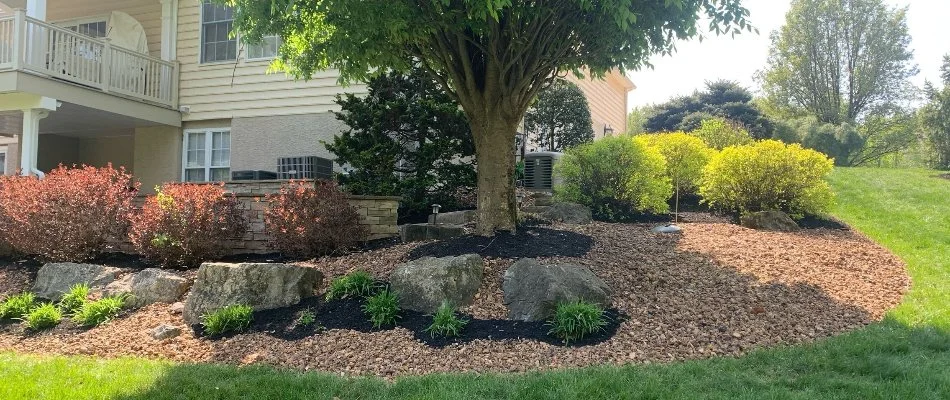 Mulch, rock, shrubs, and a tree in a landscape bed in Macungie, PA.