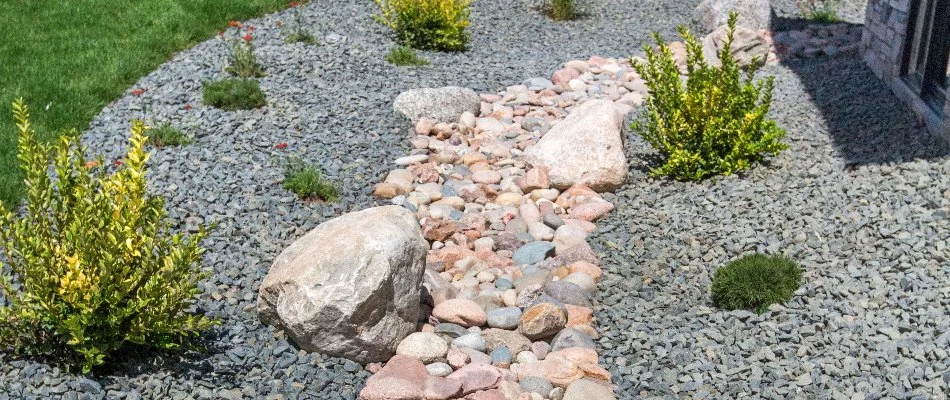 Dry creek bed with rocks, stones, and plants in Macungie, PA.