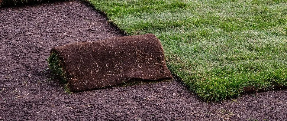 Roll of sod during installation in Macungie, PA.